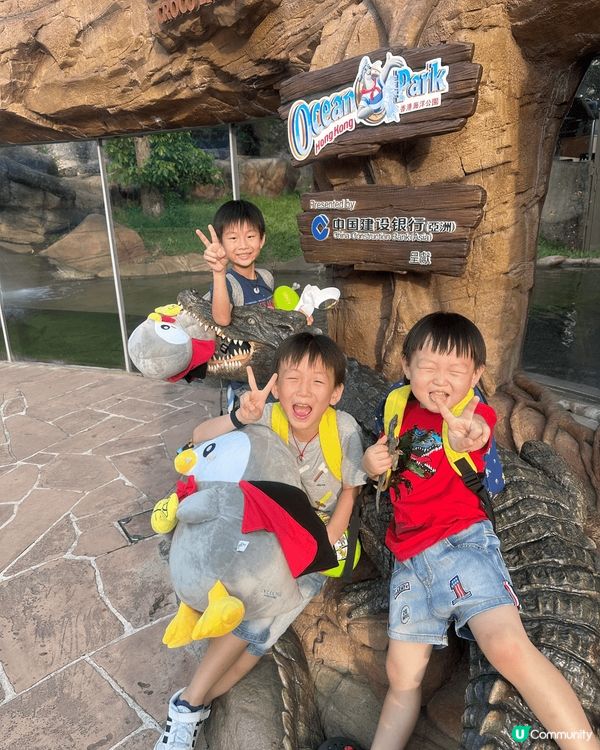 海洋公園！因為海洋公園不只是一個可以遊玩的地方，甚至還是一個...