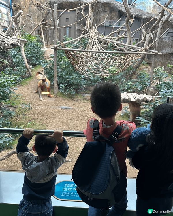 海洋公園！因為海洋公園不只是一個可以遊玩的地方，甚至還是一個...