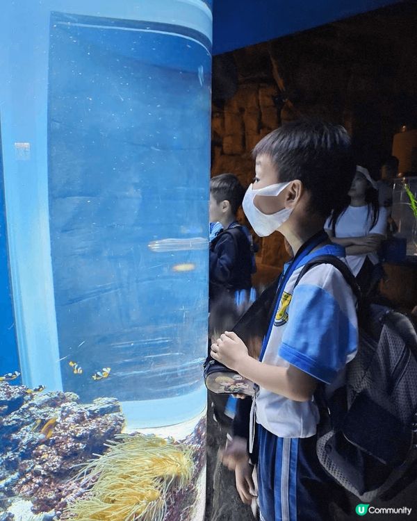 海洋公園！因為海洋公園不只是一個可以遊玩的地方，甚至還是一個...