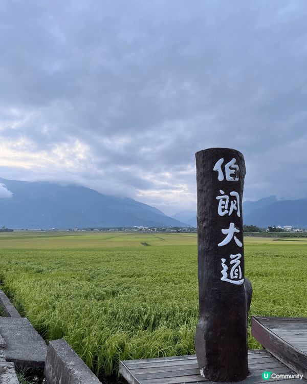 台灣伯朗大道，真正既藍天白雲，一大片綠油油青草，成個人同大自...