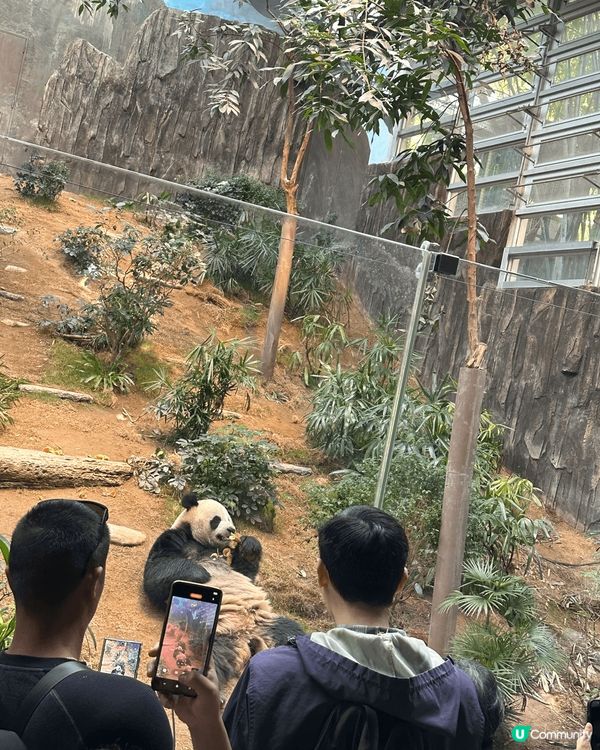 海洋公園係一個充滿回憶嘅地方，係香港人必去的一個樂園。