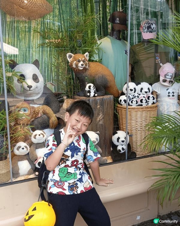 海洋公園，歡樂開心氣氛. 由小朋友到大人都流連忘返；宜家傢俬...