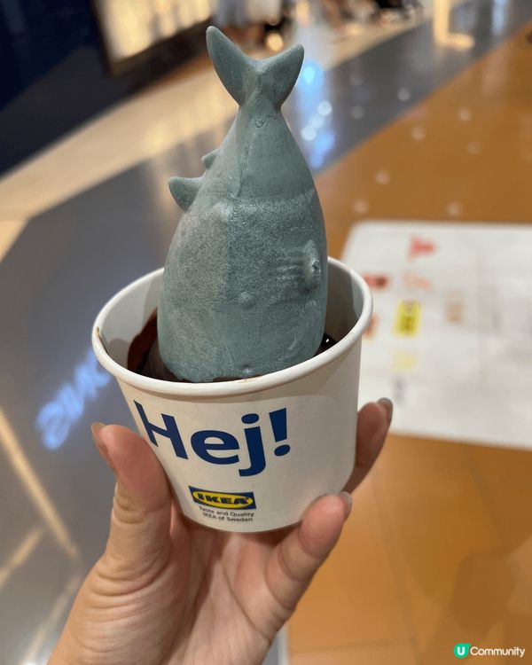 海洋公園，歡樂開心氣氛. 由小朋友到大人都流連忘返；宜家傢俬...