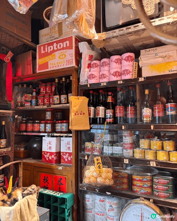 九龍城寨，香港傳奇之地，賽博朋克靈感源，電影中的江湖世界。