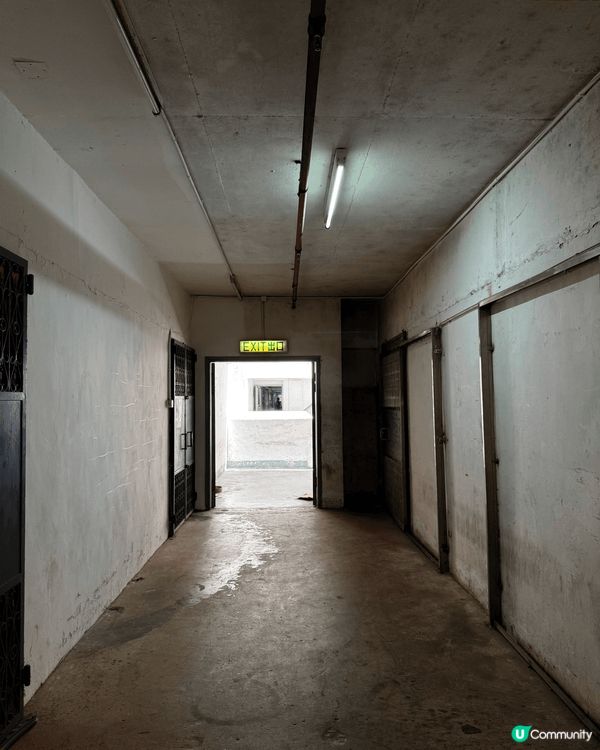 觀塘工業區駱駝漆大廈，工業文藝風打卡地點，人氣日月堂台式。