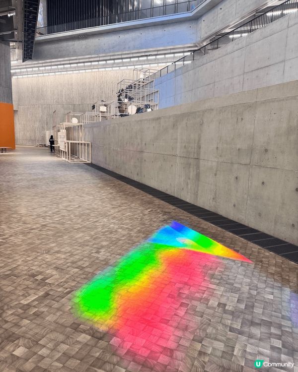 香港M+博物館的新展覽「身臨夢境：1950年代至今的女性藝術...