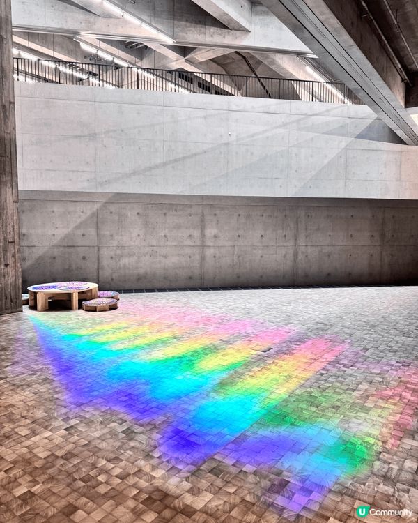 香港M+博物館的新展覽「身臨夢境：1950年代至今的女性藝術...