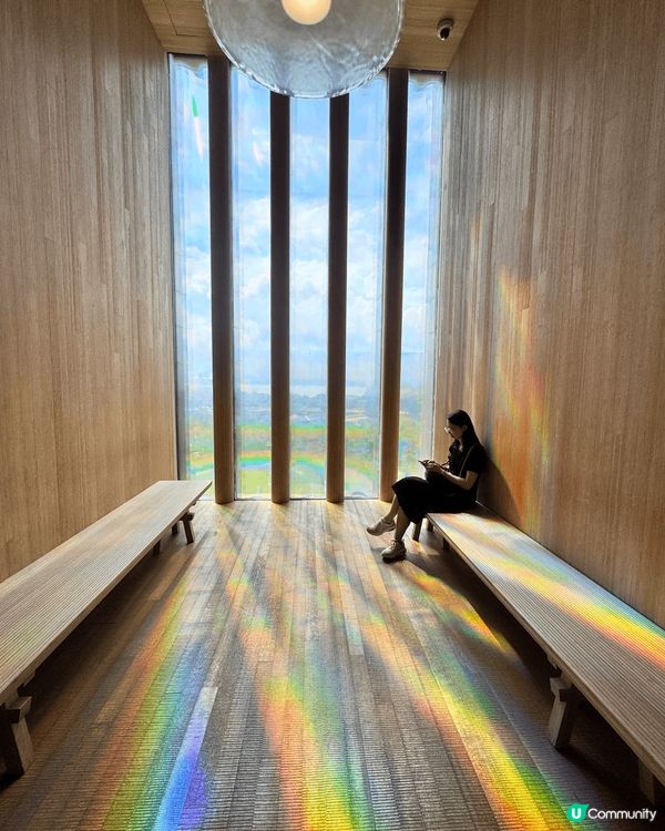 香港M+博物館的新展覽「身臨夢境：1950年代至今的女性藝術...