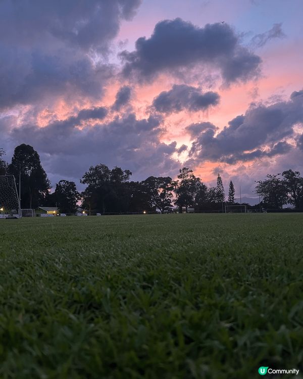適合動靜皆宜嘅旅客，圖片中除了有尖沙咀的街景，還有香港主題樂...