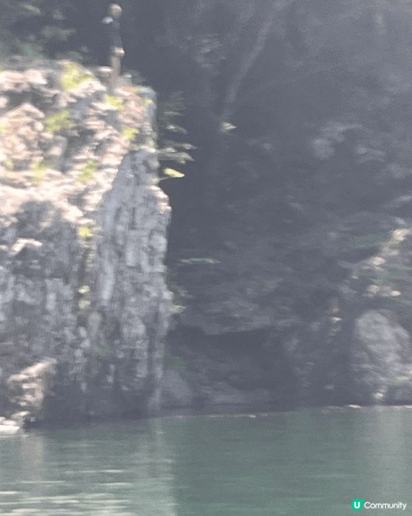 大家可以去熊野縣感受木筏漂流嘅刺激和力量感