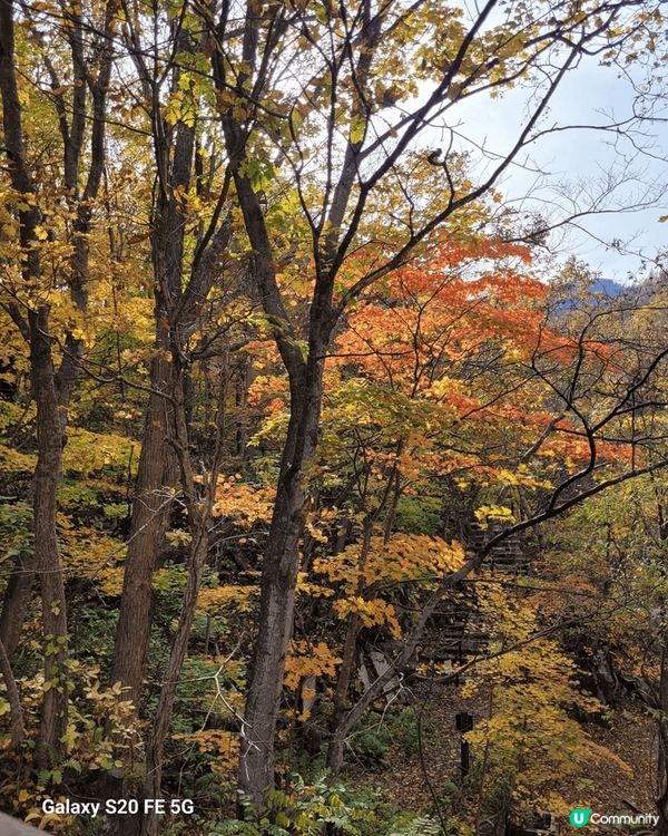 我前年去了定山溪鶴雅，遠離城市的喧囂，還有水療度假村擁有一流...