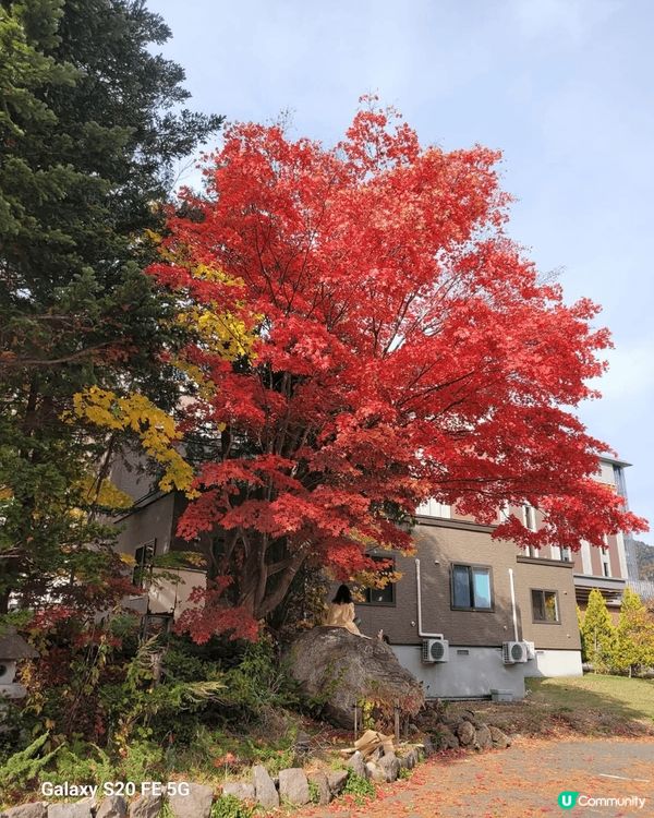我前年去了定山溪鶴雅，遠離城市的喧囂，還有水療度假村擁有一流...