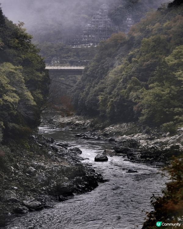 日木「嵐山」原本是坐落於京都市西部的一座海拔382公尺山岳的...