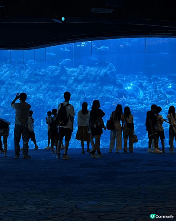 香港嘅好去處，梗係去老少咸宜海洋公園。可以親親好多海洋生物，...