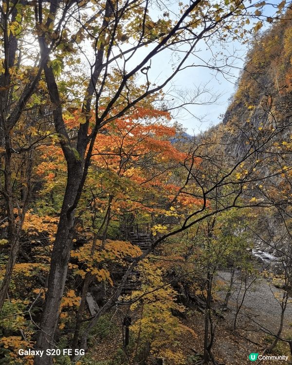我前年去了定山溪鶴雅，遠離城市的喧囂，還有水療度假村擁有一流...