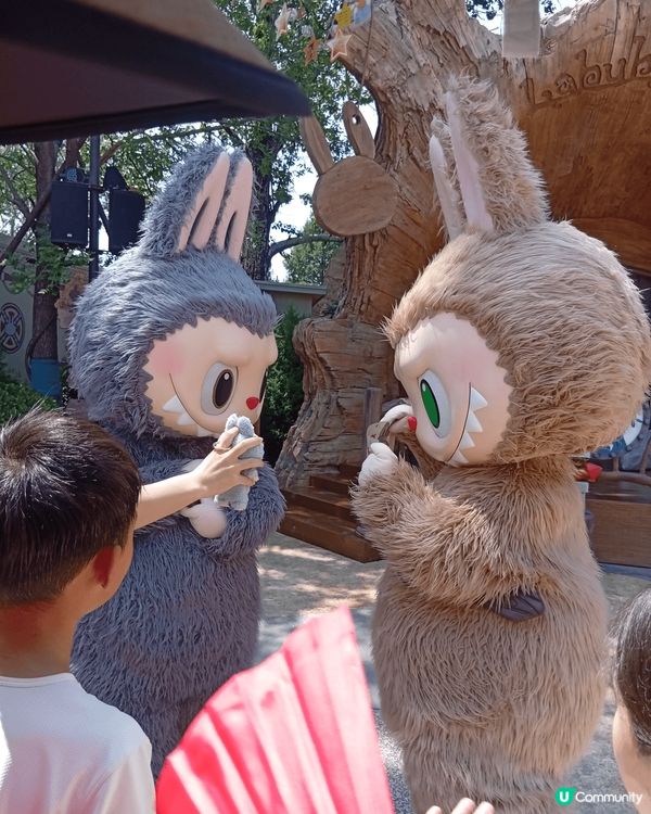 北京的環球影城 晚上的城堡亮燈儀式很壯觀美麗 園內的遊樂設施...