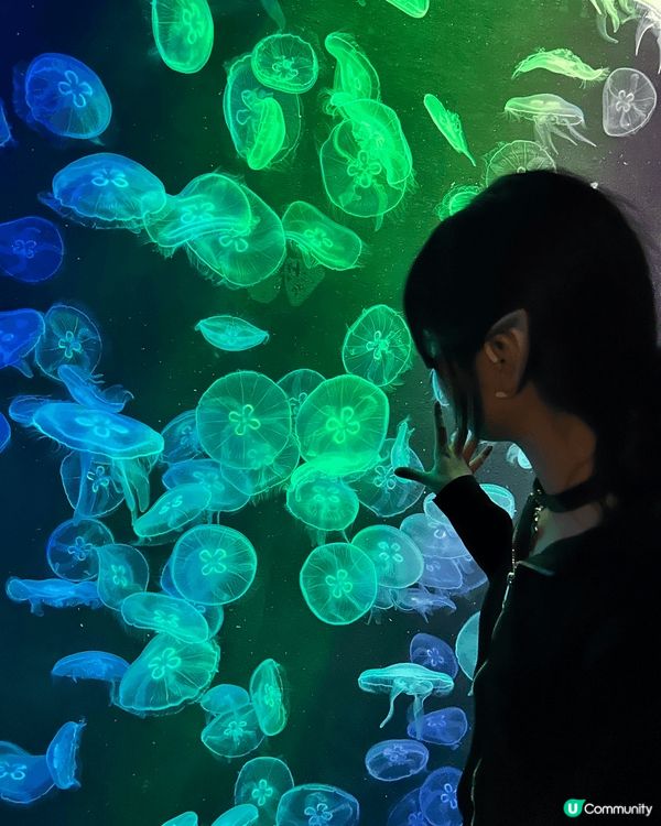 一個是西貢嘅地方 跟住有海洋公園和迪士尼兩個都係萬聖節嗰陣時...