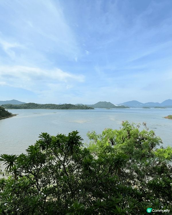 Tokenyo 嘅燒肉，Häagen-Dazs嘅雪糕，西貢嘅...