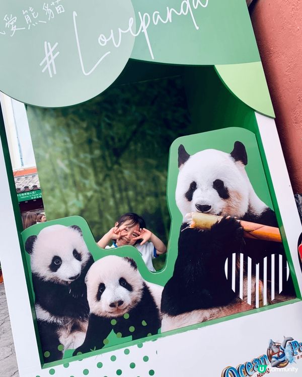 海洋公園，年票最抵玩。差不多一年365日都開門，方便。
