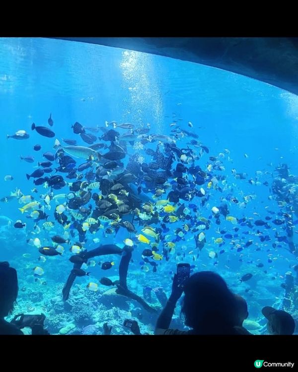 推薦珠海長隆飛船樂園:  因為係室內 , 完全唔怕天氣問題。...