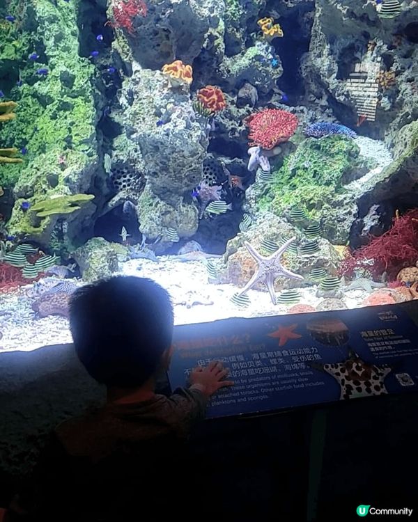 推薦珠海長隆飛船樂園:  因為係室內 , 完全唔怕天氣問題。...