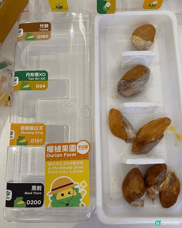 榴槤控親子必去朝聖之地吉隆坡，適合一家大細去玩去食，黑風山體...