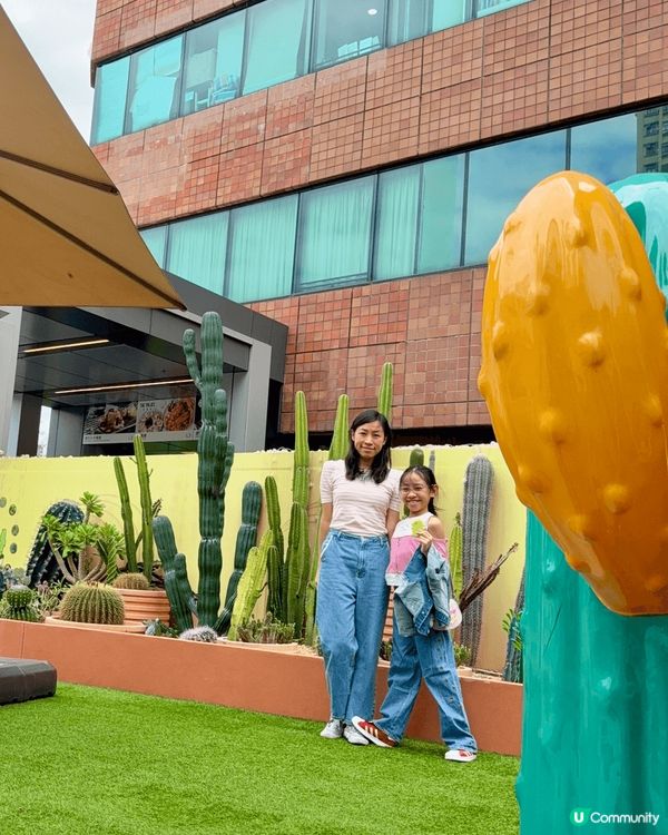 又係辣媽好介紹🤗