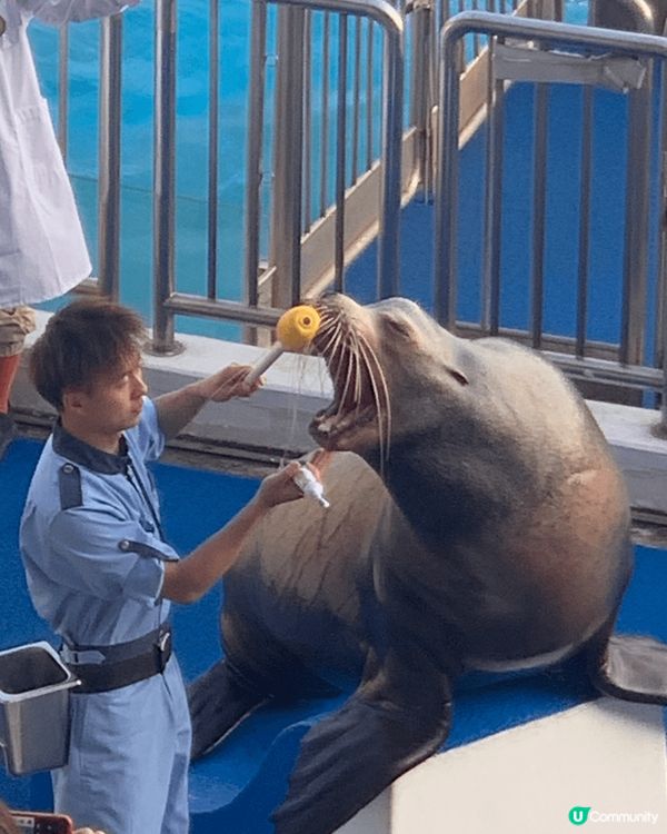 推介好去處：香港海洋公園
