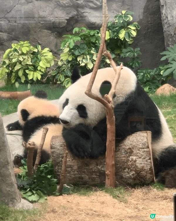 推介好去處：香港海洋公園