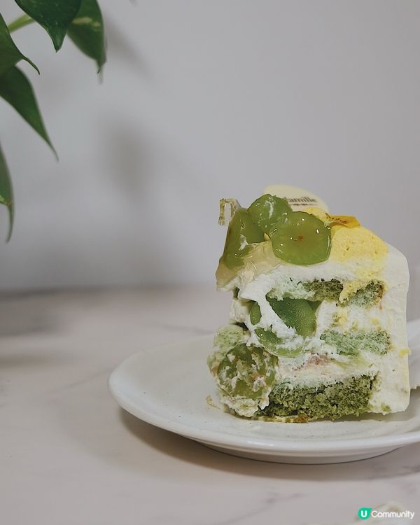 期間限定「日本香印青提茉莉」｜La Famille 💚