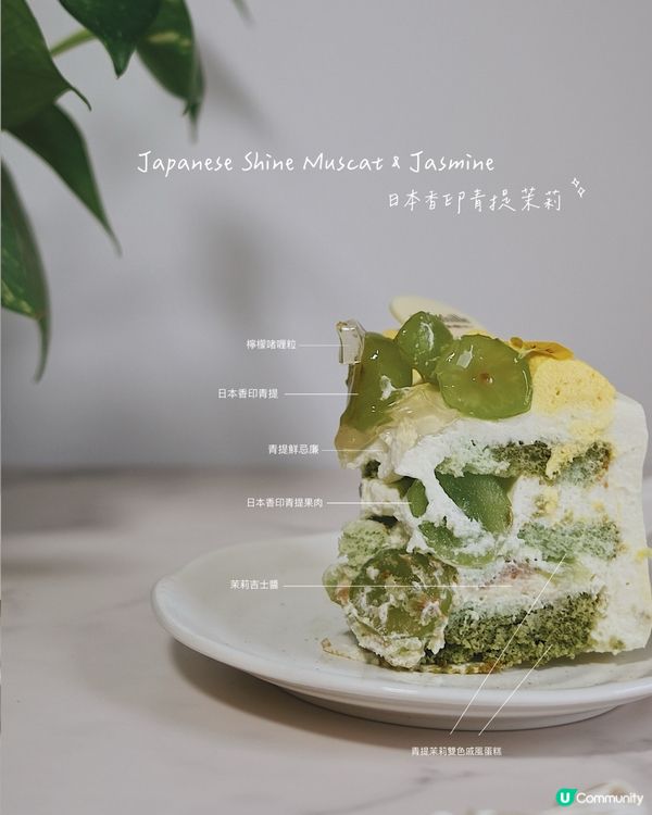 期間限定「日本香印青提茉莉」｜La Famille 💚