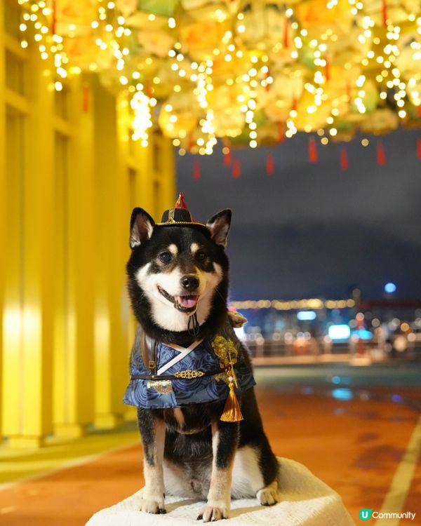 中秋夜景打卡必去🌕🤩