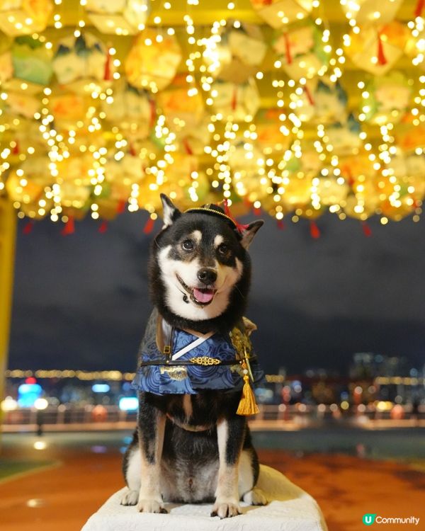 中秋夜景打卡必去🌕🤩