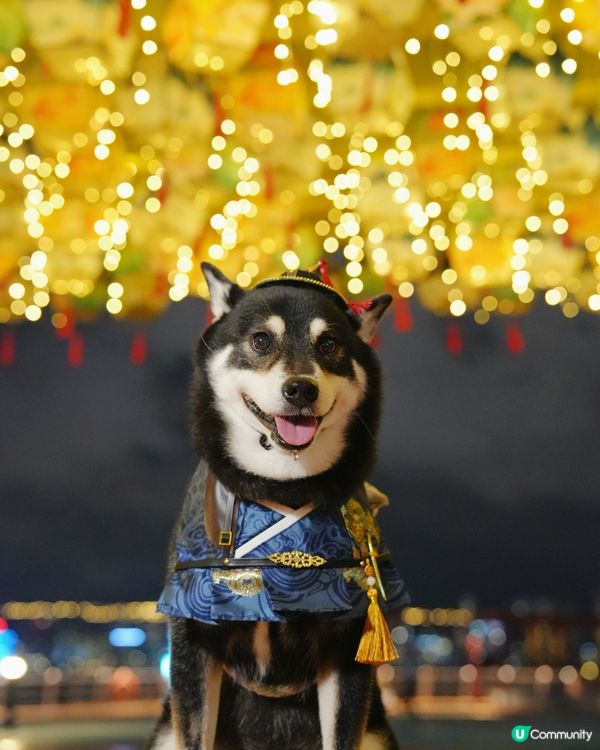 中秋夜景打卡必去🌕🤩