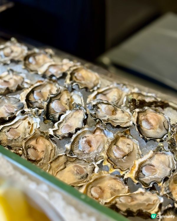 Alva Hotel 環球蟹饌盛宴自助晚餐❤️