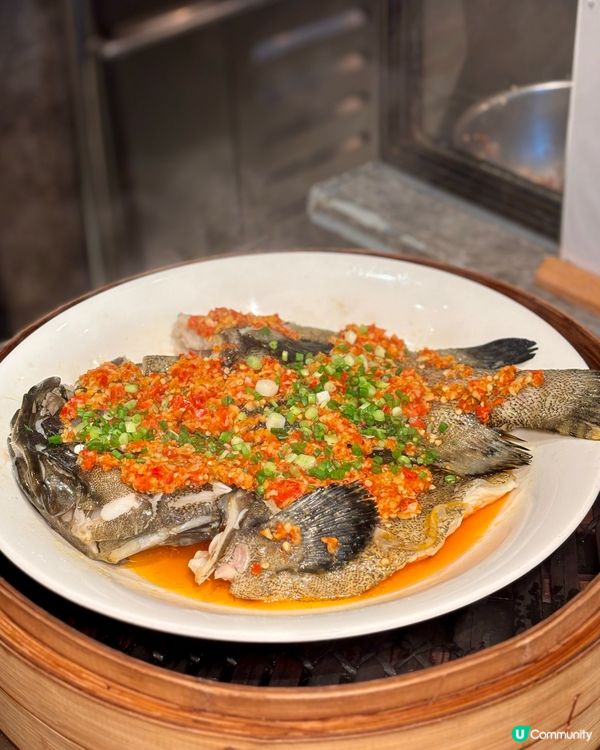 Alva Hotel 環球蟹饌盛宴自助晚餐❤️