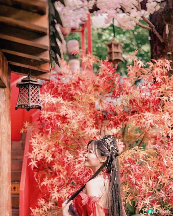 🥮中秋節快樂🥮🎑🤭古裝美人