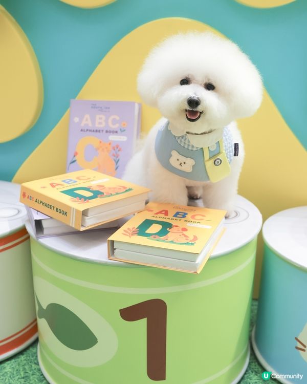 話咁快就放完｢薯｣假 ! 要開學啦🏫