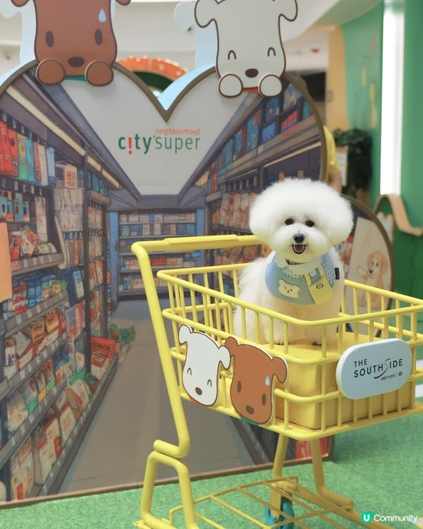 話咁快就放完｢薯｣假 ! 要開學啦🏫