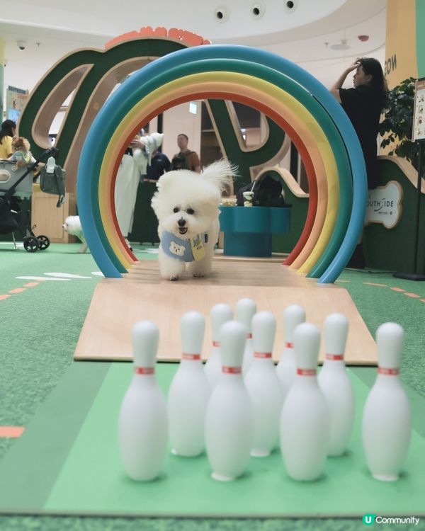 話咁快就放完｢薯｣假 ! 要開學啦🏫