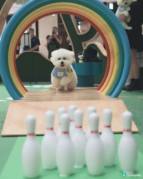 話咁快就放完｢薯｣假 ! 要開學啦🏫