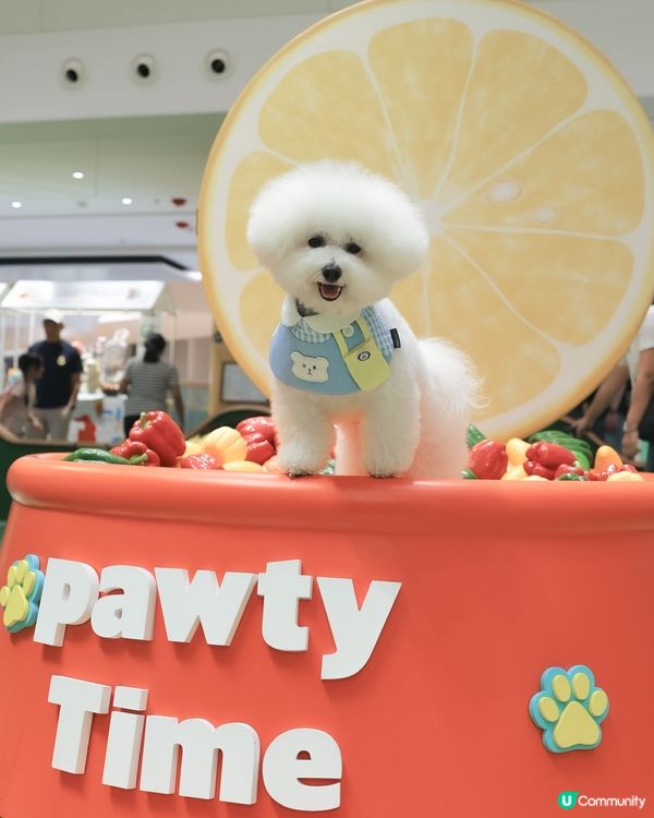 話咁快就放完｢薯｣假 ! 要開學啦🏫