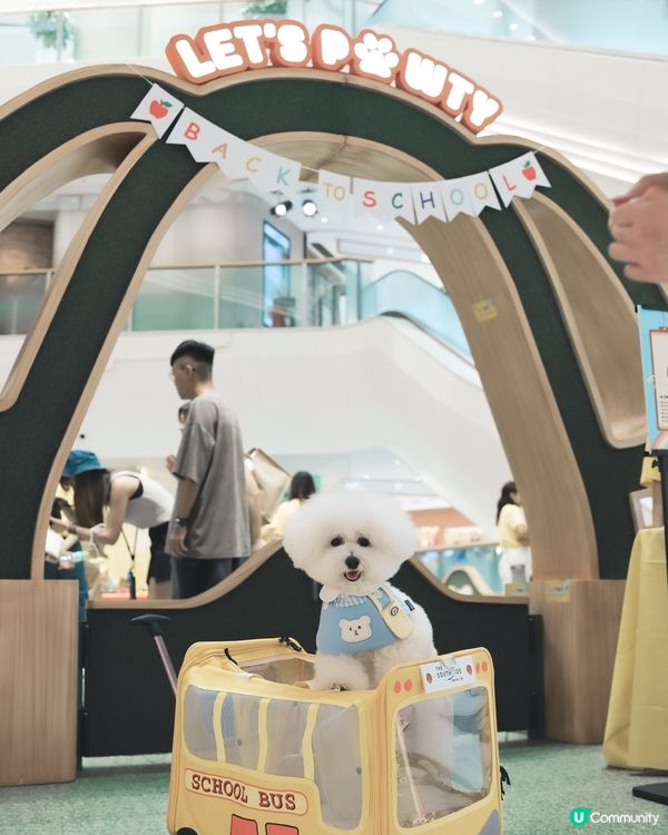 話咁快就放完｢薯｣假 ! 要開學啦🏫