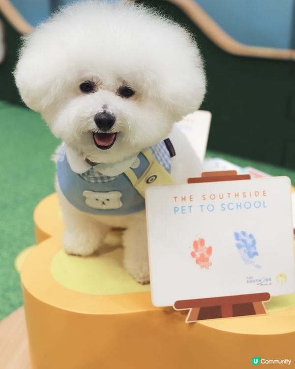 話咁快就放完｢薯｣假 ! 要開學啦🏫