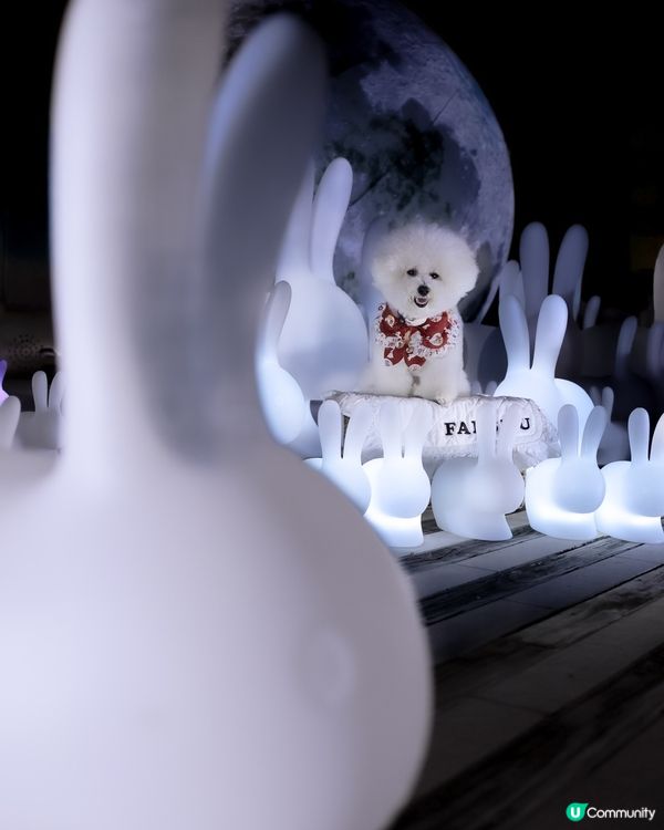 帶狗上月球🌝 中秋｢月光玉兔｣太治愈!200隻發光兔仔🐇