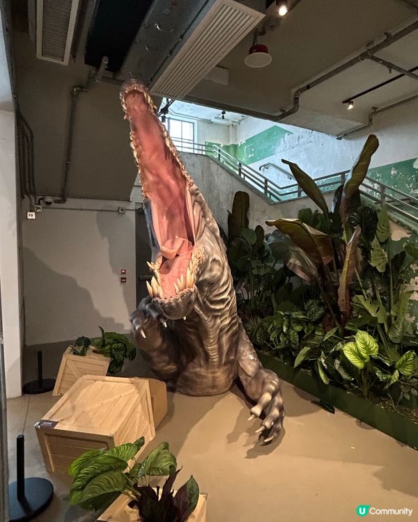 荃灣紗廠大廈遊一遊