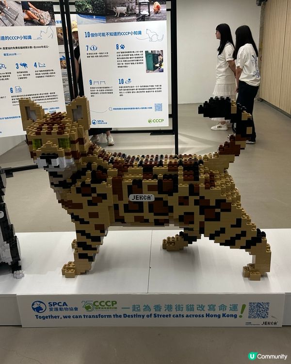 荃灣紗廠大廈遊一遊