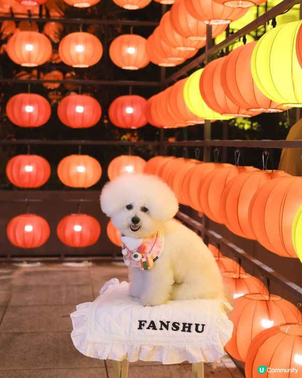 沙田公園🩷 鬧市中的五光十色中秋燈籠🏮