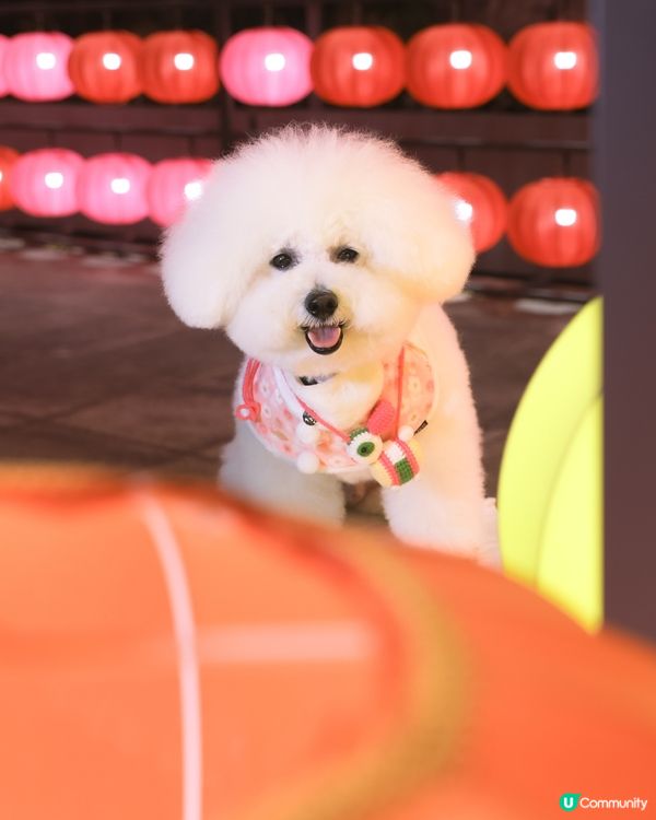 沙田公園🩷 鬧市中的五光十色中秋燈籠🏮