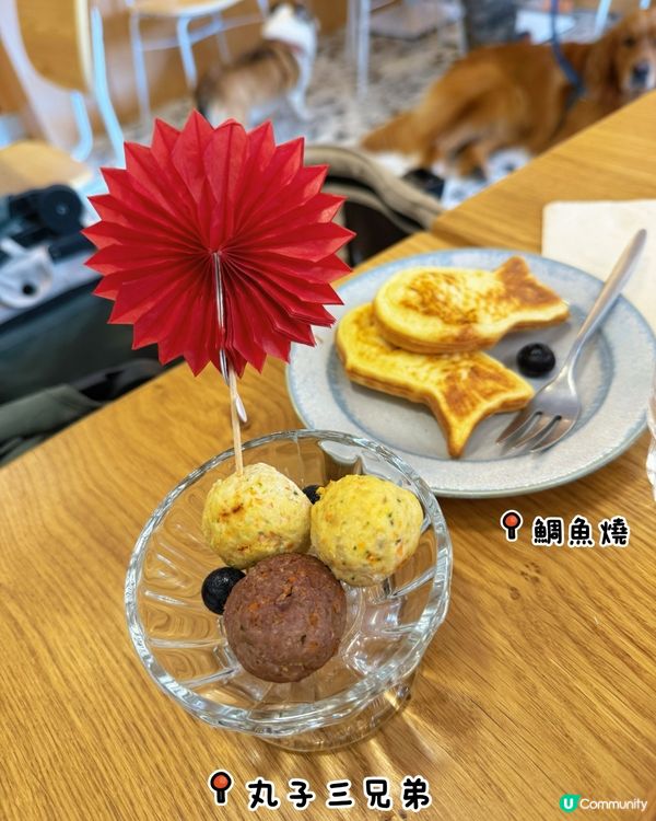 九龍城寵物友善Cafe🤤！吐司超邪惡！